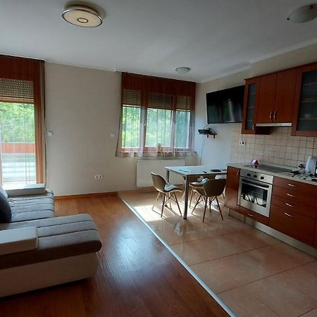 Sunny Loft Kecskemet公寓 外观 照片